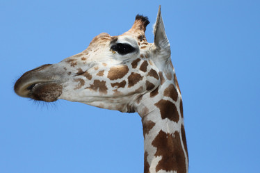 Similar image 356749