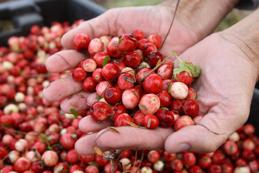 Similar image 356751