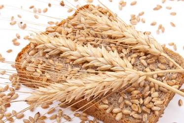 Similar image 356757