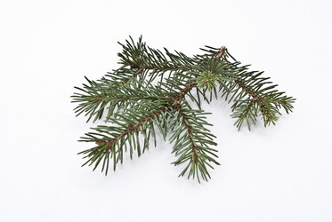 Similar image 356767