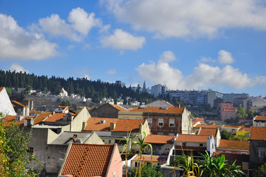 Similar image 356768