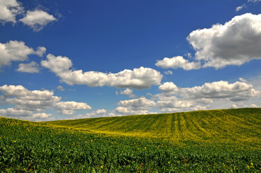 Similar image 356777