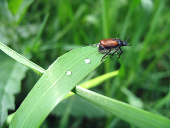 Similar image 356811