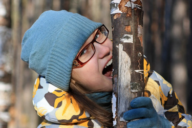 Similar image 356830