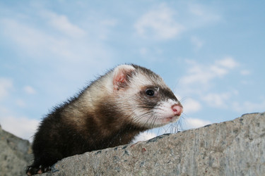 Similar image 356919