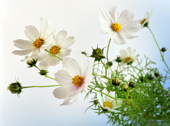 Similar image 356927