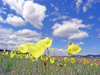 Similar image 357017