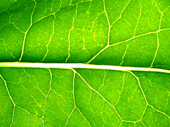 Similar image 357089