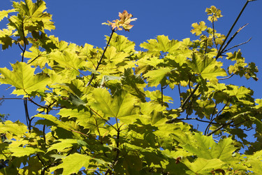 Similar image 357158