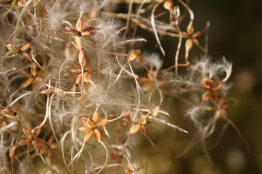 Similar image 357199