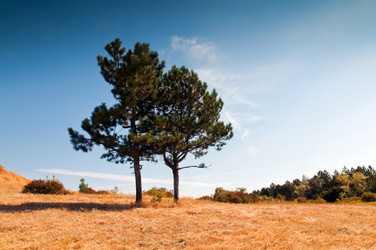 Similar image 357210