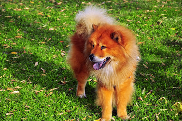 Similar image 357227