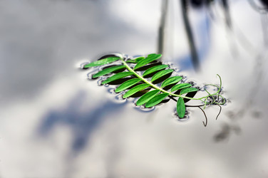 Similar image 357260