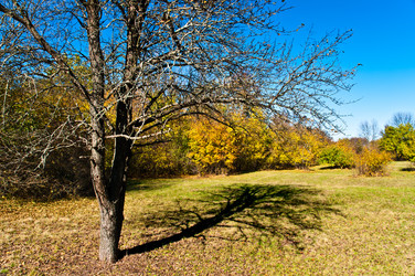 Similar image 357267