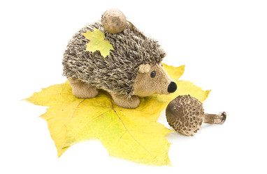 Similar image 357294