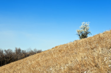 Similar image 357502