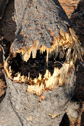 Similar image 357513