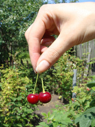 Similar image 357518