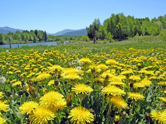 Similar image 357549