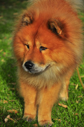 Similar image 357560