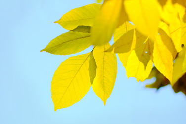 Similar image 357687