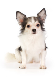 Similar image 357754