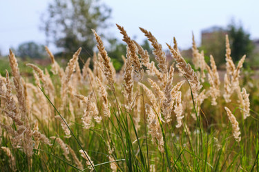 Similar image 357813