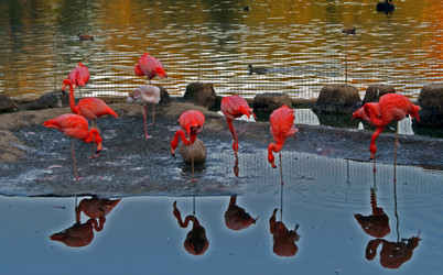 Similar image 357881