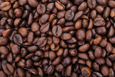 Similar image 357937