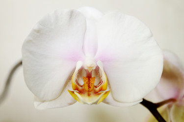 Similar image 357947