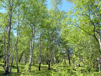 Similar image 357951