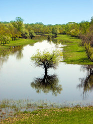 Similar image 357956