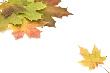 Similar image 357958