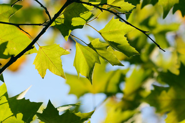 Similar image 358007