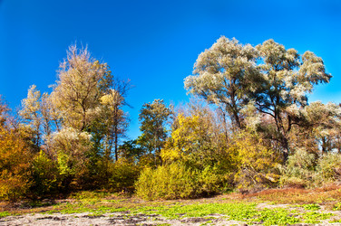 Similar image 358014