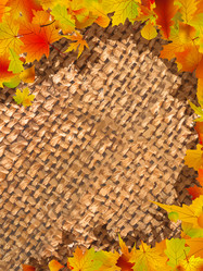 Similar image 358023