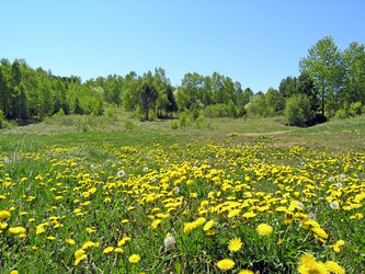 Similar image 358025