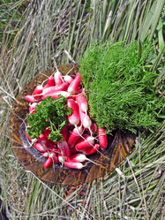 Similar image 358035