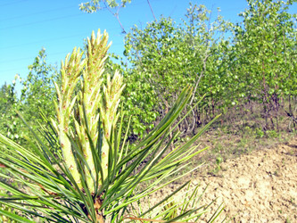 Similar image 358057