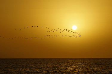 Similar image 358058