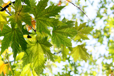 Similar image 358067