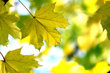 Similar image 358087