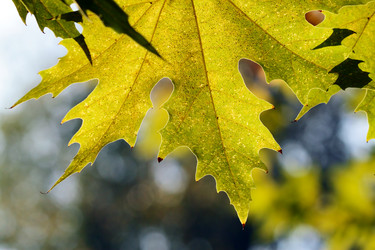 Similar image 358101