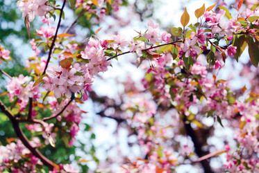 Similar image 358113