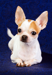 Similar image 358118