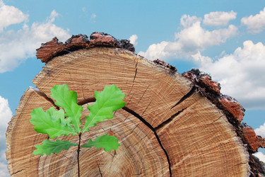 Similar image 358185