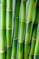 Similar image 358224