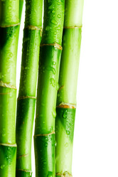 Similar image 358226