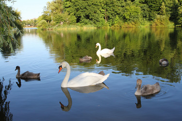 Similar image 358234