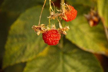 Similar image 358237